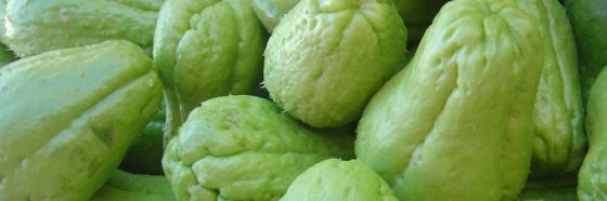 chayota chayote squash