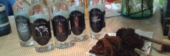 cocuy pecayero denominacion de origen 8 artesanos