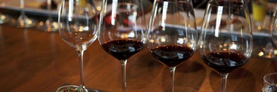 wine tasting anatomy