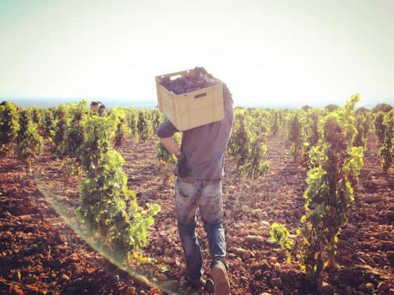 2015 VALMIRA - Monte de Yerga - Alfaro III