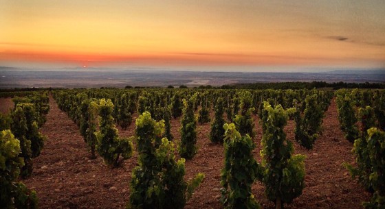 2015 VALMIRA - Monte de Yerga - Alfaro V