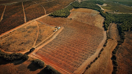 2015 VALMIRA - Monte de Yerga - Alfaro VI