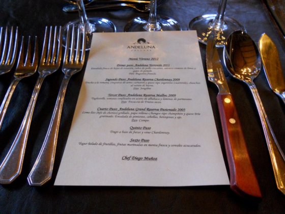 wines of argentina wofa gira 2012