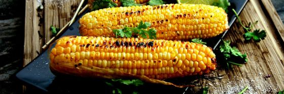 grilled corn cobb