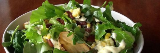 ensalada gastrobotanica valentina inglessis rodrigo de la calle santiago orts