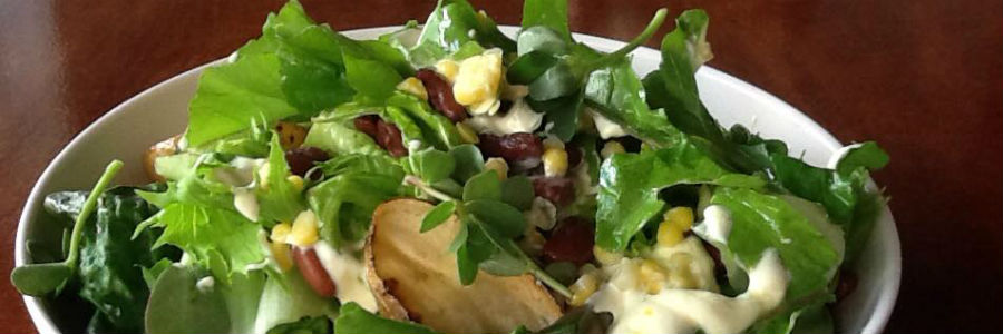 ensalada gastrobotanica valentina inglessis rodrigo de la calle santiago orts