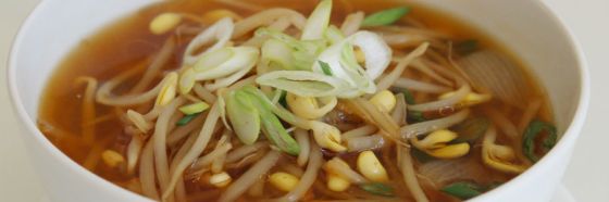 asian broth bean sprouts
