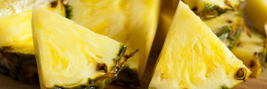 valentina inglessis cuaderno gastrobotanico piña