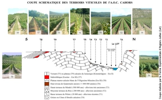 cahors malbec leo borsi wines