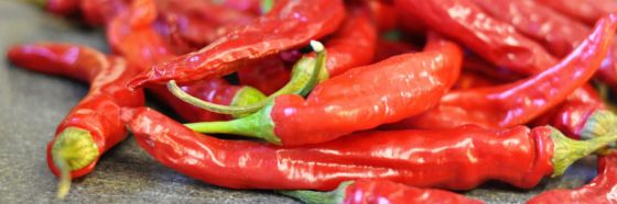 esnobgourmet_aji_picante_cuaderno_gastrobotanico