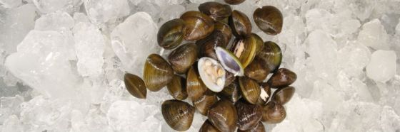 esnobgourmet_tip_para_lavar_chipi_chipi