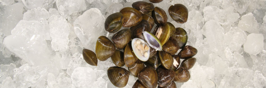 esnobgourmet_tip_para_lavar_chipi_chipi