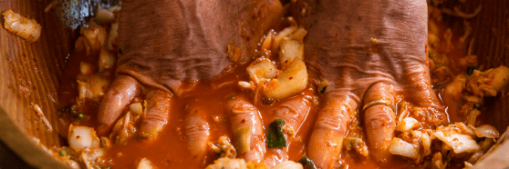 esnobgourmet_cooked_michael_pollan_netflix