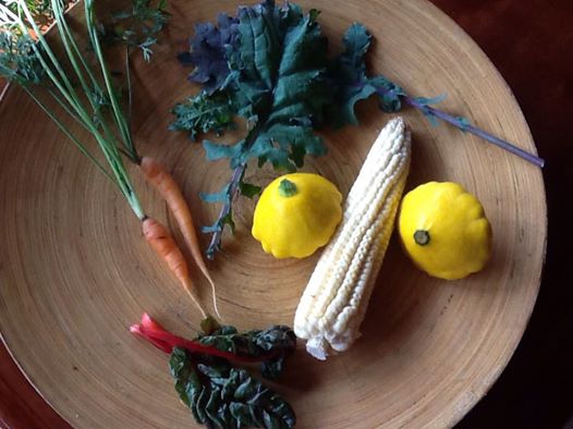 esnobgourmet_despensa_gastrobotanica_venezuela