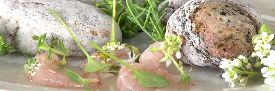 esnobgourmet_poder_transformador_cocina