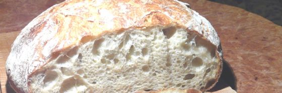 esnobgourmet_breve_historia_personal_de_la_masa_madre_pan_y_magia