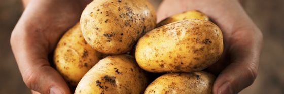 esnobgourmet_papa_mejor_regalo_america_al_mundo