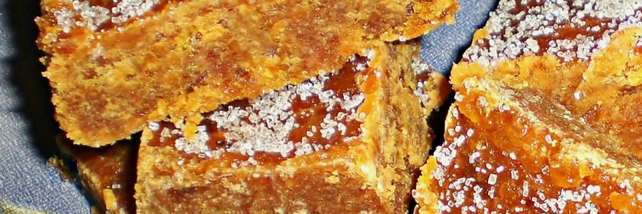 esnobgourmet-bocadillos-de-maduro-receta-tips