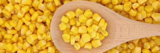 esnobgourmet-maiz-aproximaciones-intuitivas-reino-vegetal