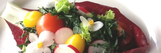 esnobgourmet-recomendaciones-chef-holistica-mejorar-calidad-de-vida