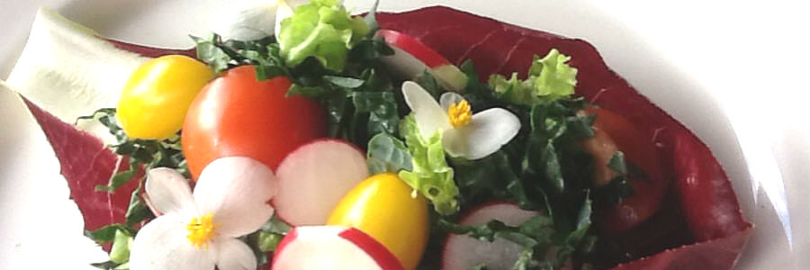 esnobgourmet-recomendaciones-chef-holistica-mejorar-calidad-de-vida