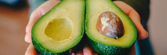 esnobgourmet aguacate cuaderno gastrobotanico