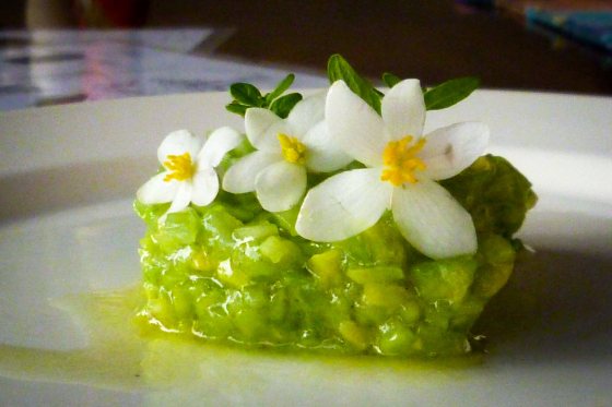 esnobgourmet tartar de aguacate y pepino