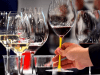 3 cosas que puedes aprender del vino esta&nbsp;cuarentena
